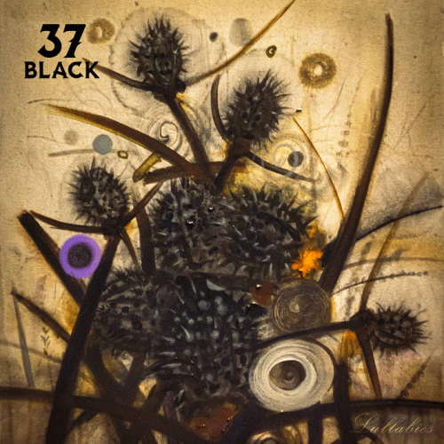 37 Black : Lullabies